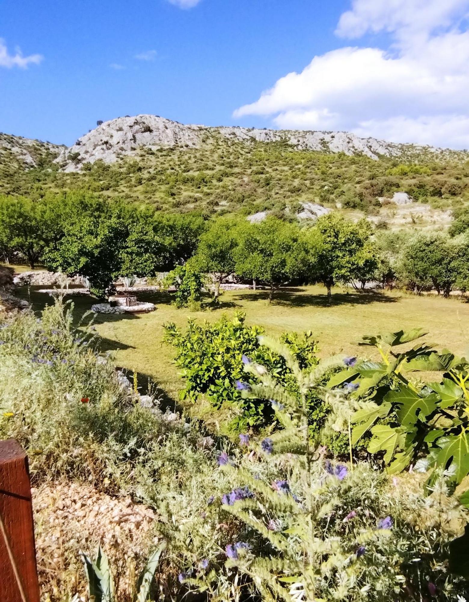 Villa The Garden Of Elais Šibenik Exterior foto